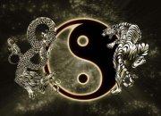 非常有偏财的男人面相特点是什么