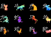 71年的猪是什么命的人 命中带有好的财运