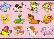 70年属狗未来十年运 属狗人在财运方面运势走向