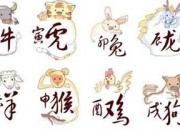 属兔1987年女孩命运 选择婚配的眼光好