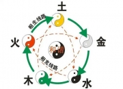 公司办公室饲养那些花的风水学好？公司办公室怎样助运？