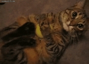 碧玉手镯越戴越好看,银手镯越戴越发亮是怎么回事？