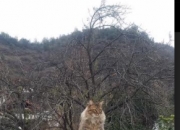 什么玉对女人身体最好,50左右的女人带什么玉好？