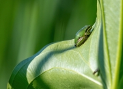 佩戴开光饰品8大禁忌,佩戴开光的手链有什么禁忌？