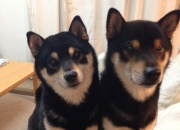 手镯测量方法和尺寸表,门洞尺寸测量方法有哪些呢？