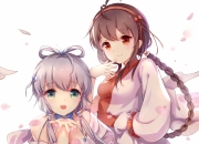 帝王绿手镯,如何明显分清翡翠是新坑料还是老坑料？