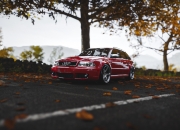 廉价玉镯里面的棉絮图片,蓝田姜花玉镯有大块的棉絮是真的吗