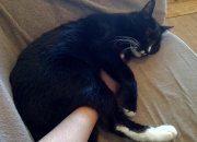 玉养活了是什么样子,戴了三年的玉，辛苦品鉴一下价值是多少？