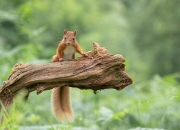 女人必备的三大宝石,有哪些宝石价格亲民又美观大方？