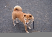 命里有几套房子是注定,姻缘和财富是命中注定的吗？请举例？