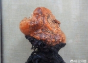 最有升值潜力的玉石,你收藏的天然奇石有哪些已经升值了？