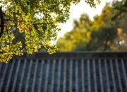 鬼看到灯光会入屋吗,走夜路，你有没有遇到过特别怪异的人和事？