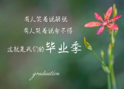 手镯颜色深好还是浅好,玉是越带颜色越浅好还是深好？