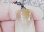 怎么看玉值多少钱,捡到一个玉蝉，懂行的条友们，值多少钱？