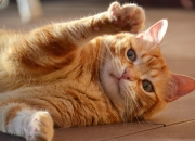 戴玉镯子有什么好处,佩戴和田玉手镯的好处有什么？