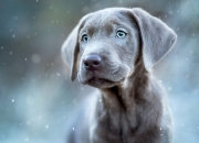 手镯尺寸,如何测量手镯尺寸和手表尺寸？