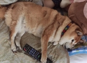 金镯子大小怎样最合适,送人手镯如何知道手镯的最佳尺寸？