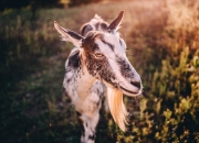 房子不干净有哪些表现,把屋子收拾得干净整洁，大家都有什么妙招？