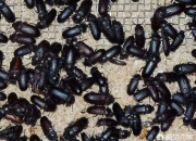 用拖鞋测试房间里有鬼,在旅途中，酒店里诡异的事有哪些？