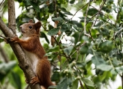 身高体重手镯对照表,身高体重怎么可以测量手镯尺寸？