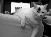 翡翠手镯的颜色有哪些,翡翠手镯的颜色和什么有关系吗?