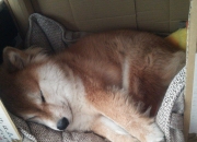 如何知道自己戴多大的手镯,怎么量自己戴多大手镯尺寸