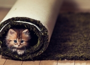 项链品牌排行榜前十名,有什么值得推荐的项链品牌？