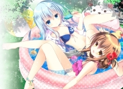 墓地种什么花草旺后人,花草摆放和旺运的关系
？