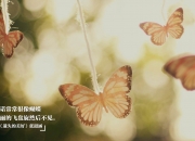 手镯是怎样的量尺寸的,送人手镯如何知道手镯的最佳尺寸？