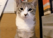 鉴定翡翠真假小妙招,用肉眼鉴定翡翠的真假有哪几招？