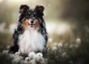 手镯尺寸对照表与身高,戒指尺寸对照表有什么用？