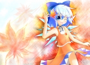 十个贵坟九个高,是这样吗？“十个回回九个马”？