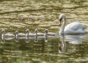 儿童手镯尺寸对照表,如何测量手镯尺寸和手表尺寸？