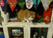 玉镯子断了是什么征兆,翡翠手镯碎了，它真的可以为我挡灾吗？