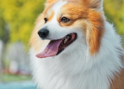 手镯怎么量尺寸,送人手镯如何知道手镯的最佳尺寸？