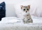 坟上不长草意味着什么,作为农村人你支持土葬吗？