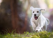 属鸡的买几楼房最吉利,选择楼房时选最左边的楼房会不吉利吗？