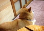 坟墓立碑的三禁忌,为父母立碑有什么风水禁忌？