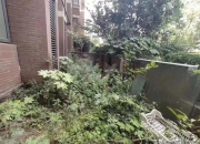 买房子最后一排好吗,买一楼送负一楼，值得买吗？