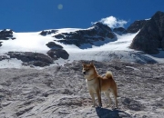 爸爸的坟对谁的影响大,父母去世会给人带来什么影响？