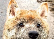 半夜哪些行为是招鬼的,你会害怕一个人走夜路吗？心里会想什么呢？