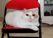 信风水基本上不用买房子了,买一个靠近公墓的房子是怎样的体验？