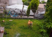 8种东西不能放枕头下面,过年时在枕头下面放压岁钱有什么寓意吗？