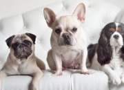 5楼的房子千万别买,五楼带阁楼的房子能买吗？有哪些缺点？