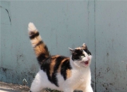 1一32楼层数字含义,高楼层有哪些优缺点？买房应该如何选楼层？