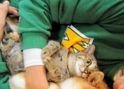 房子出现这十大征兆千万别住,死过人的房子你敢住吗？为什么？