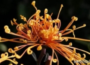 越磨人的孩子越有出息,孩子是越吵，成绩越差吗？怎么教育好？