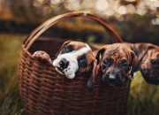 女人身上有邪气的表现,骨子里很阴暗的人，身上都有哪些特征？