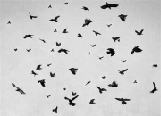 容易出精神疾病的阳宅,为什么有的人太闲会患上各种精神疾病？