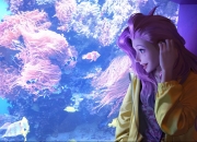 这7种户型是大凶之宅,什么样的户型才是吉宅呢？